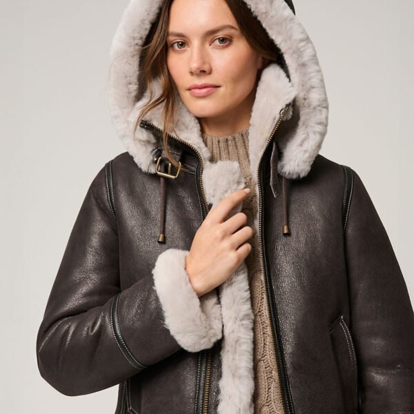 imgi_12_16118-dbcm-av4169325