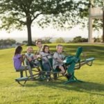 Lifetime Ace Flyer Teeter-Totter