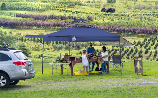 Summit X SX170 Straight Leg Pop-Up Canopy, 10 ft. x 17 ft. Blue