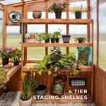 11x7 Poppy Greenhouse