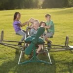 Lifetime Ace Flyer Teeter-Totter