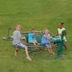 Lifetime Ace Flyer Teeter-Totter