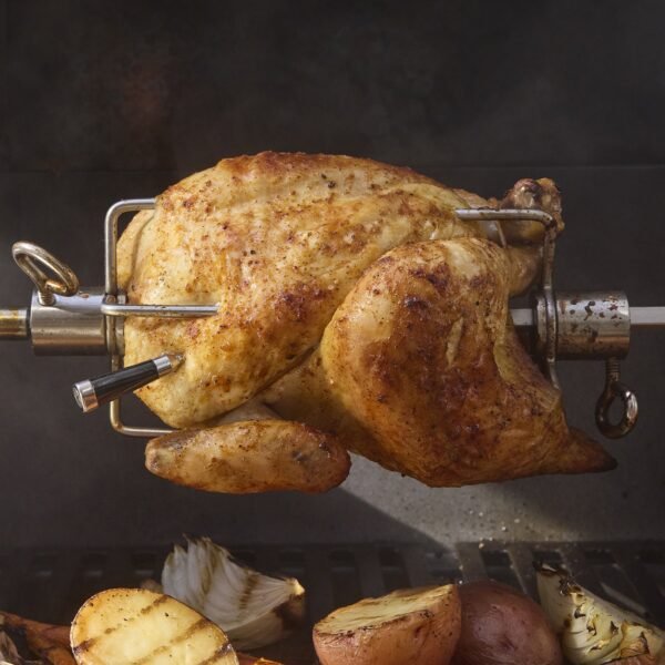 Smart Wireless Probe Plus with Booster and Charger