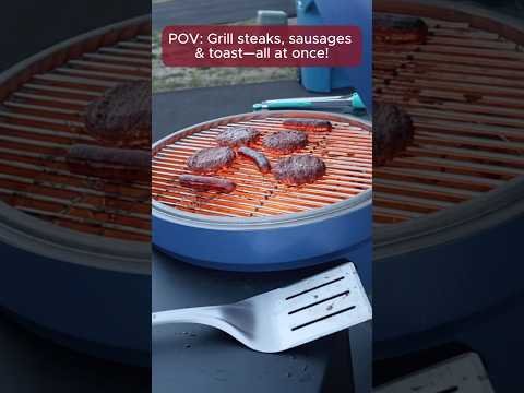 SUNJOY 20 Inch Charcoal Grill, Kamado Grill with Pizza Stone, Ultimate Egg BBQ Grill and Smoker with Wheels - Blue