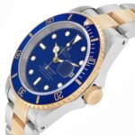 Rolex Submariner Steel Yellow Gold Blue Dial Automatic Mens Watch 16613