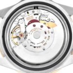 Rolex Submariner Steel Yellow Gold Blue Dial Automatic Mens Watch 16613