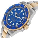 Rolex Submariner Steel Yellow Gold Blue Dial Bezel Mens Watch 116613 Card