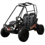 Trailmaster Mini XRX+ 2- Seater GO-KART EAGLE SERIES 163cc Blue