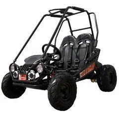 Trailmaster Mini XRX+ 2- Seater GO-KART EAGLE SERIES 163cc Blue