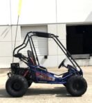 Trailmaster Mini XRX+ 2- Seater GO-KART EAGLE SERIES 163cc Blue