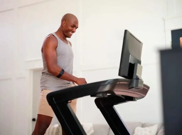 NordicTrack Commercial 2450 Treadmill